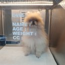 호텔리더스 이미지