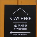 스테이 히어 이미지