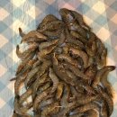 밤바다 2 이미지