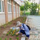포산초등학교 이미지