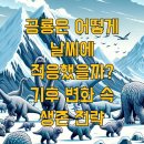 &#34;공룡은 어떻게 날씨에 적응했을까?&#34; 기후 변화 속 생존 전략