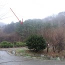 감정2리경로당 네이버블로그