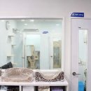 이리온 동물메디컬센터 이미지