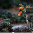 친구처럼A 이미지