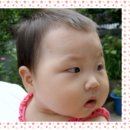 정아나고 이미지