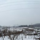 길원농장 이미지