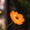 의령 탐진안씨 종택 이미지