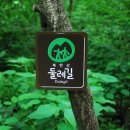 강북구견인차량보관소 이미지