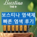 보스티나 염색제 빠른 염색 5분만에 염색 가능할까 내돈내산 후기 부작용