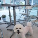 무브멍트 이미지