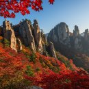 한국의 장가계 두타산 베틀바위 무릉계곡 가을 단풍 명소 이미지