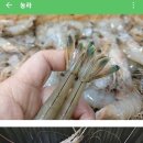 싱싱 부산물