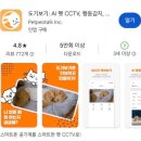강아지 펫캠도 ai 시대 분리불안 케어, cctv 어플 도기보기 사용후기