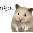 이디야울산성남점 이미지
