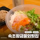황금시장 | 속초 물회 맛집 속초황금물회횟집, 속초 중앙시장 먹거리 포장 후기