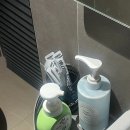 중원-113 | 유즈 생맥주부터 일품진로, 스몰디쉬까지… 모란 취즈 말잇못 내돈내산 후기