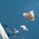 솔비치펜션민박 이미지