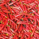 인태농장 이미지