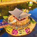 알짜천국 | 만리포부터 국화축제까지, 태안 가성비 여행 핵심 키워드 &amp; 알짜 팁