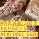 은비세탁