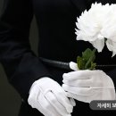 순수상조 이미지