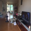 중문동-22 이미지