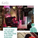 쎄씨클럽 이미지