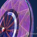 The fair w 이미지