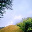 산지관리행정사사무소 이미지