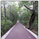 송림민박 이미지