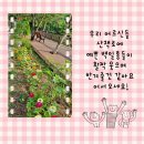 이레마을