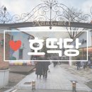 호떡당 메타프로방스점 | 호떡당 담양 메타프로방스에서 쇼핑과 겨울음식