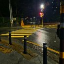 엄지세탁소 | 내돈내산 | 캡슐에스 살균 신발 건조기 후기(사용기)