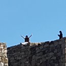 옥이민박 이미지