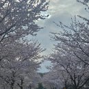 어물보건진료소 이미지