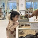 마리앤쥬 - 연수구 신송로125번길 13 | 마리앤쥬
