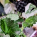 가야농약사 이미지