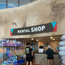 오션초등학교 | 쏠비치 삼척 비수기 겨울철 오션플레이 가족여행 후기