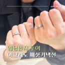 커넥션 | 웨딩밴드 투어 마지막 아크레도 패싯 커넥션 계약 후기 [견적 공유]