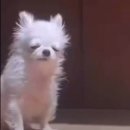 안녕,오늘도카페 이미지