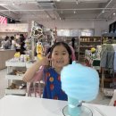킴스크래프트