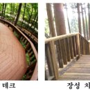 치유행정사사무소 이미지