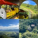 지리산친구들 | 전남 구례 지리산 스카이런 모노레일 짚라인 액티비티 예약 당일 탑승 후기