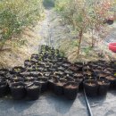 외기농장 이미지