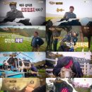 동거목장 이미지