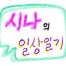 쓰담헤어(SSDAM Hair) | 일상일기/ 머리하러갔다가 힐링하고 왔다지요~ (Feat. 이즈미헤어)