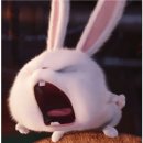 하우스 TALK 이미지