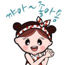 수진애견미용 이미지