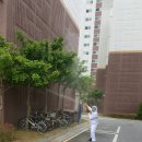 로취사이언스