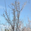 여난농장 이미지